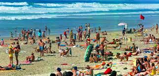 Curriculum, faculty listings, commercial art program and calendar. Australians At The Beach Nfsa