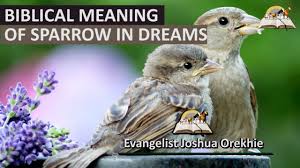 Maybe you would like to learn more about one of these? Biblical Meaning Of Sparrow In Dreams Dream About Sparrow Birds Youtube