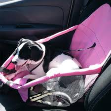 Dog Basket Car Seat Cover Pet Hound Animales Instacat Ilovemycat Petsofinstagram Doggo Instagramcats Dogsitting Puppy Dog Beds Dog Car Seats Dog Car