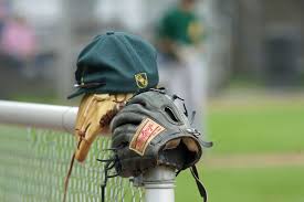 The ncaa softball di official home. Sudwestdeutscher Baseball Und Softball Verband E V Swbsv
