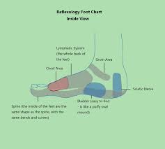 Foot Reflexology Chart Complete Guide For Reflexology Foot