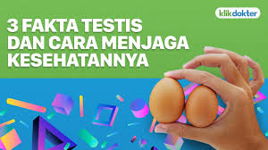 Saya coba menjawab pertanyaan anda ya.semoga bisa membantu. Testi Nyeri Mendadak Atasi Dengan Cara Ini