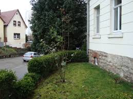 Jetzt wohnung kaufen in weißenfels Wohnung In Weissenfels Saale Burgenlandkreis Saale Mieten