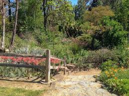 With a terminus near auburn, it's still one of the easiest hikes you can take near sacramento. The Absolute Best Hikes Near Sacramento 15 Ideas California Crossroads