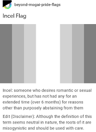 Black And White Flag Meaning Sexuality Pin By On Lgbtq How Are You Feeling Jokes Social Justice Warrior