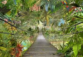 Fototapete Wild Bridge Von Komar Fototapete De