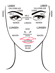 Untere stirn & über den augenbrauen. Was Dein Gesicht Uber Die Gesundheit Deiner Organe Verrat Wunderweib