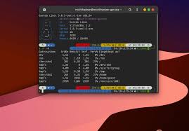 Welche linux version habe ich. Garuda Linux Linux Distro Auf Arch Basis Im Macos Design Zum Zocken Michlfranken