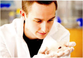 Longwood Magazine 2016 Spring by Greenwood Library