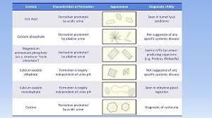 what does your urine test mean urinalysis and urine test