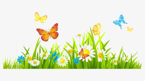 Maybe you would like to learn more about one of these? Spring Flower Png Images Free Transparent Spring Flower Download Kindpng