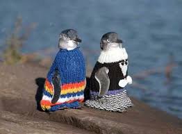 Why Little Penguins At Australia's Phillip Island Sport Stylish ...