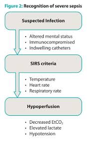 International guidelines for management of sepsis and septic shock: Effective Prehospital Sepsis Screening Tool In Orange County Fla Helps Identify Severe Sepsis Jems