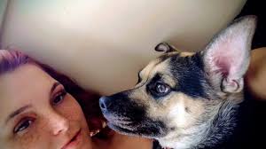 Identifying a possible German Spitz mix breed dog