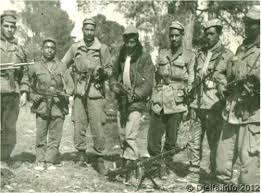 Znalezione obrazy dla zapytania â€«ØµÙˆØ± Ù…Ø¬Ø§Ù‡Ø¯ÙŠ ÙˆØ´Ù‡Ø¯Ø§Ø¡ Ø§Ù„Ø«ÙˆØ±Ø©â€¬â€Ž