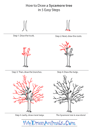 How To Draw A Sycamore Tree Step By Step Tutorial Tree Drawing Simple Trees Drawing Tutorial Drawings