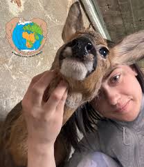 W imieniu tych co nie mówią