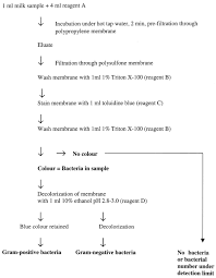 Rapid Method For Detection Of Gram Positive And Negative