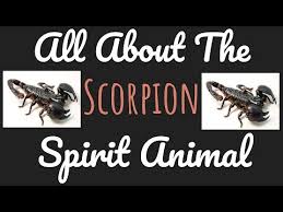 The scorpion is closely associated with a strong sexual drive. Scorpion Symbolism Meaning Totem Spirit Omens World Birds