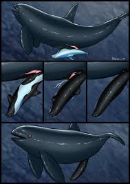 Rule 34 - 2024 Anal Anal Sex Animal Genitalia Animal Penis Artist Name  Black Body Black Cum Bodily Fluids Cetacean Cetacean Genitalia Cetacean Penis  Cock Transformation Colored Cum Cum Cumshot Dolorcin Dolphin
