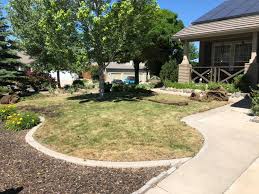 We keep your yard healthy and vibrant. Lawn Care Near Me Reno Sparks Nv Ponds By May