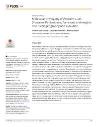 Image result for Panicum kalaharense