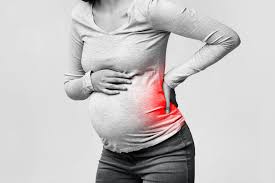 These muscles, including the gluteus maximus and the hamstrings, extend the thigh at the hip in support of the body's weight and propulsion. Safe Exercises To Combat Low Back Pelvic Pain During Pregnancy Orthocarolina