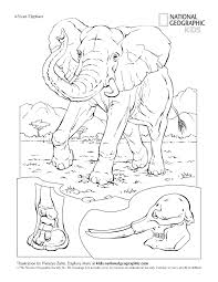 Download Coloring Kids Book Animals National Geographic Flip Book Pages 1 48 Pubhtml5