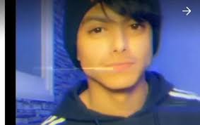 داروين butterfly wallpaper iphone butterfly wallpaper iphone wallpaper