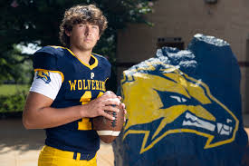 Top performances of Week 5: Johnson's 4 touchdowns ignite Newton's upset