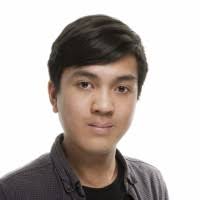 100+ “Hoang” profiler