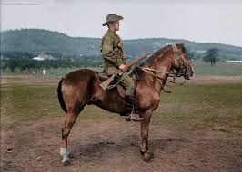 Sergeant Clement Edward Hill 3rd Light Horse Regiment Of The Australian Army 1915 Colorized History History Military History