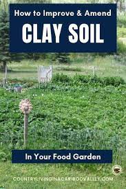How To Improve Clay Soil Amending Clay Soil Clay Soil Garden Soil