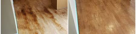 Refinishing the world, one customer, one floor at a time! Daniel J Praz Ceo Mr Sandless Linkedin