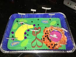 • followed specific instructions for the chosen project • depicted appropriate organelles for the cell chosen • correctly described the function of each structure • organization and neatness • creativity and appeal. 23 Plant Cell Ideas Plant Cell Cells Project Plant Cell Project