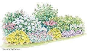 Space eight garden stakes around the perimeter of the hydrangea in a circle. Four Season Hydrangea Border Garden Gate