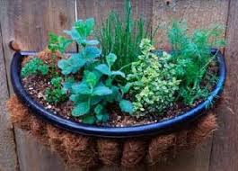 How to plant small herb garden. How To Grow An Herb Garden Tips And Guidelines Howstuffworks