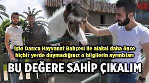 Darica Hayvanat Bahcesi 650 Bin Ziyaretci Bekliyor Gundem Www Kulishaber Com Tr Kulis Haber Gebze Haber