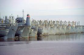 Image result for Gray 1983 Fleet