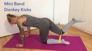 Check spelling or type a new query. Mini Band Donkey Kicks Youtube