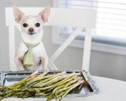 Can dogs eat asparagus too? Which Over The Counter Medications Are Safe Unsafe For Dogs
