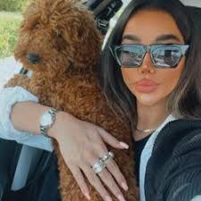 Daniel Freudenberg Clubhouse Profile, Followers, Statistics (@deinfreund)