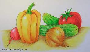 Каля Маля Всё о рисунках. Учимся рисовать: Как нарисовать овощи?