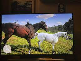 The arabian is a horse breed in red dead redemption 2 and red dead online. Need Help Finding The Bred Of The Brown Horse On The Left Reddeadredemption