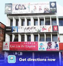 After booking, all of the property's details, including telephone and address, are provided in your. Kooi Lim Pet Kingdom æ¡‚æž—å® ç‰©çŽ‹å›½