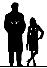 He also temporarily becomes a member of the wild hunt. This Really Helped Me Visualize The Height Difference Between Dresden And Murphy No Spoilers Dresdenfiles