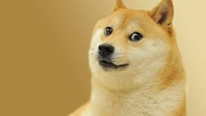 Kanye & jeffree star 5. Von Gangnam Style Bis Ok Boomer Die 10 Besten Memes Der 10er Jahre Netz Themen Puls