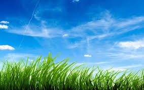 Download Free Wallpapers Most Viewed High Quality Backgrounds Blue Sky Wallpaper Grass Wallpaper Scenery Wallpaper