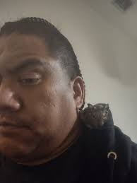 Dennis Doctorello (@dennis.doctorello) • Facebook