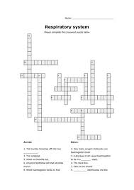 Respiratory System Crossword Puzzle Respiratory System Respiratory System Activities Respiratory